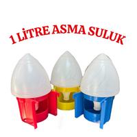 Asmalı Eşhane Suluğu