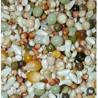 Bayiye Özel Yemler – Toplu Alımda Avantajlı ve Güvenilir Çözüm (En az 800kg)