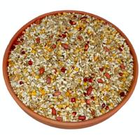 Gold Seri Enerji Turbo Yem 20kg