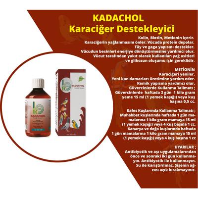 Kadochol  Karaciğer Destekliyici 