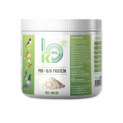 PRO-B/H Protein